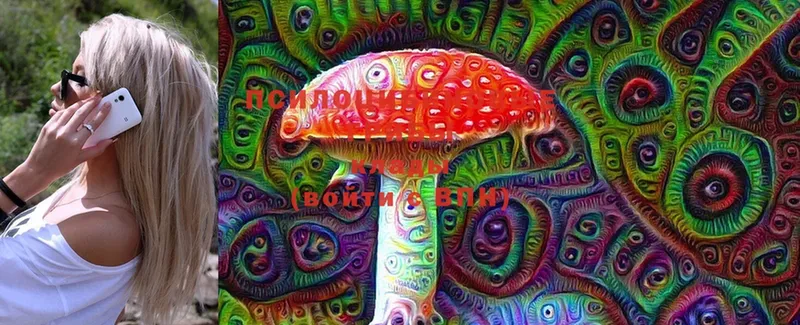 Галлюциногенные грибы Psilocybe  Вельск 